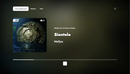 Rizzrywka Music w akcji